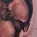 tattoo galleries/ -  - 38143